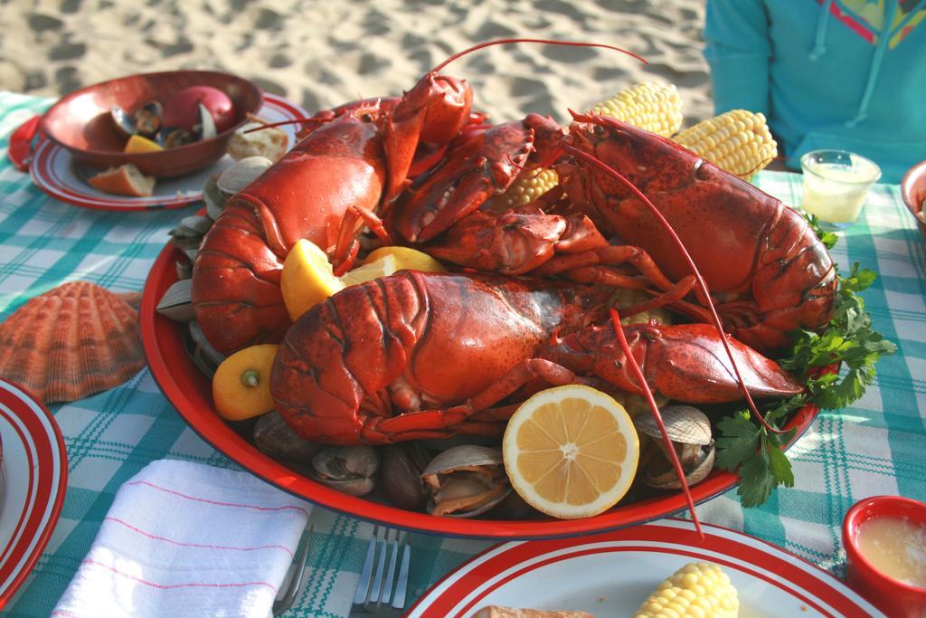 The Lodge At Turbat'S Creek Kennebunkport Esterno foto